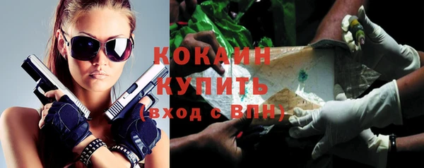 стаф Абаза