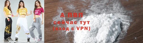 стаф Абаза