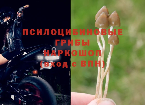 ешки Абдулино