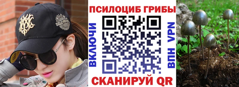 Галлюциногенные грибы MAGIC MUSHROOMS  купить закладку  shop состав  Каменск-Шахтинский 