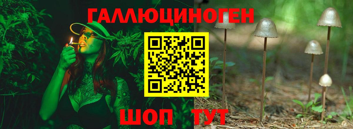 Галлюциногенные грибы мицелий Каменск-Шахтинский